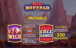 big Buffalo pay table