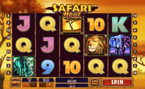 safari heat 5X3