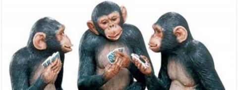 Monkeys help us understand gaming behaviour